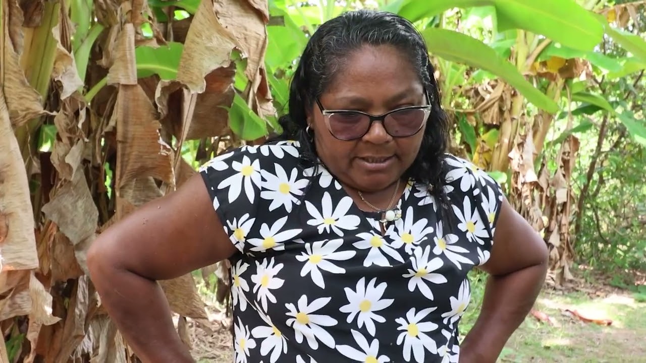 Dona Rosa do Surubiu Açu: saberes e fazeres da várzea