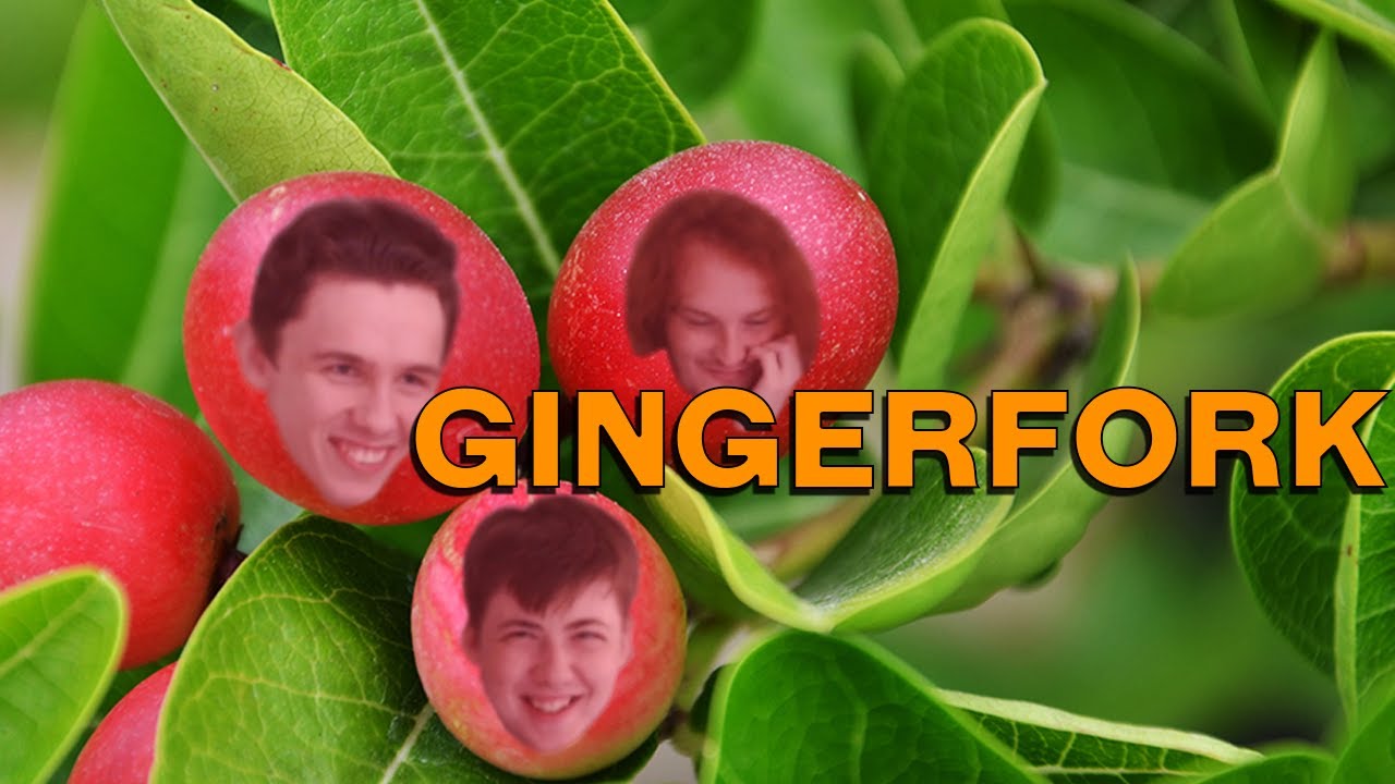 Miracle Berry Taste Test Challenge | Gingerfork
