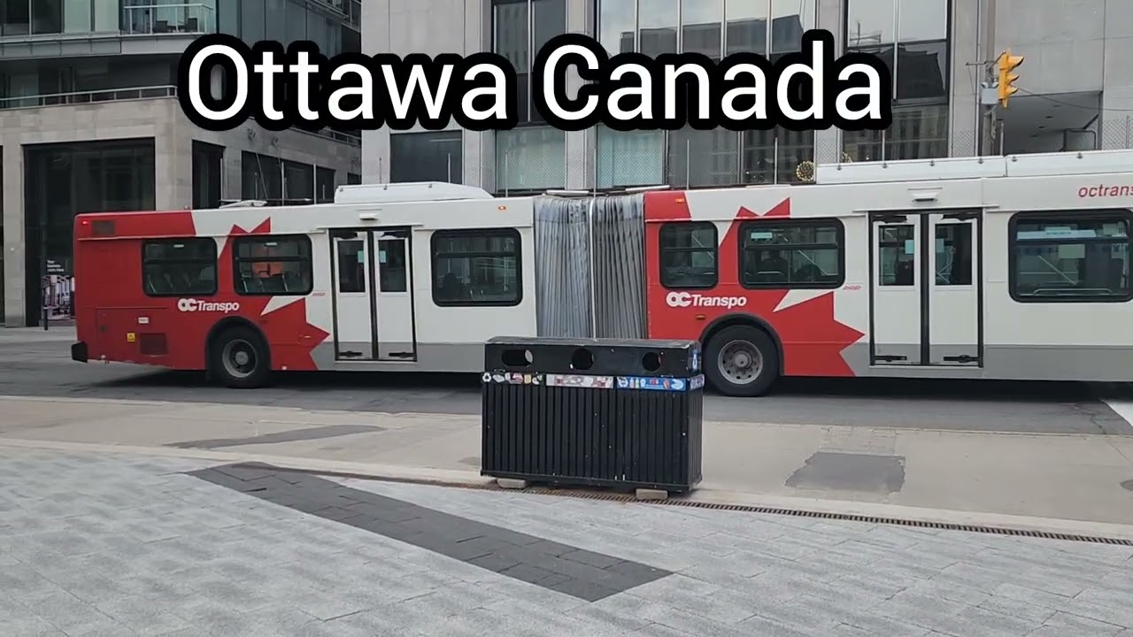 Double Dakar Buses in Ottawa Canada #trending #automobile #bestclicks #movieoftheday #trending