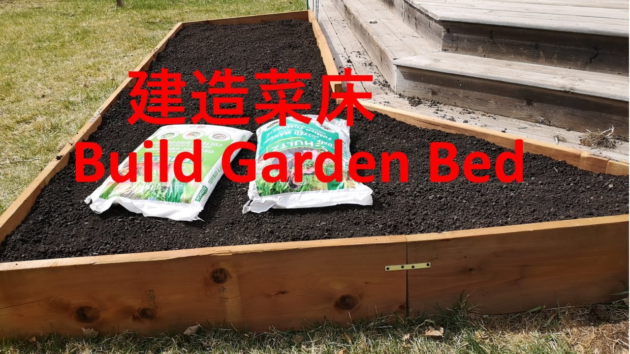 后院种菜-如何在后院建造菜床/地床（一米菜园）(1) How to build garden bed (square foot garden)(2021)