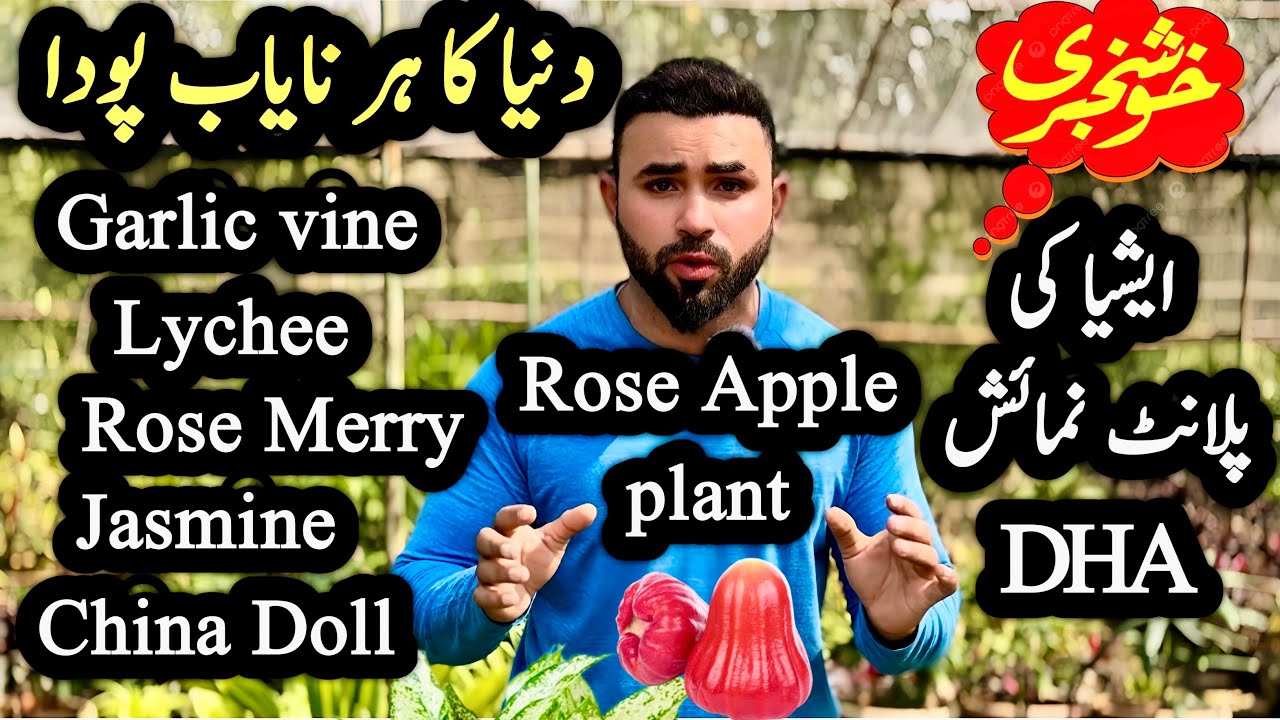 Plants Numaish! DHA CVO Duniya Ka Har Poda Yahan Plants Exhibition | nursery plant 12 February Start