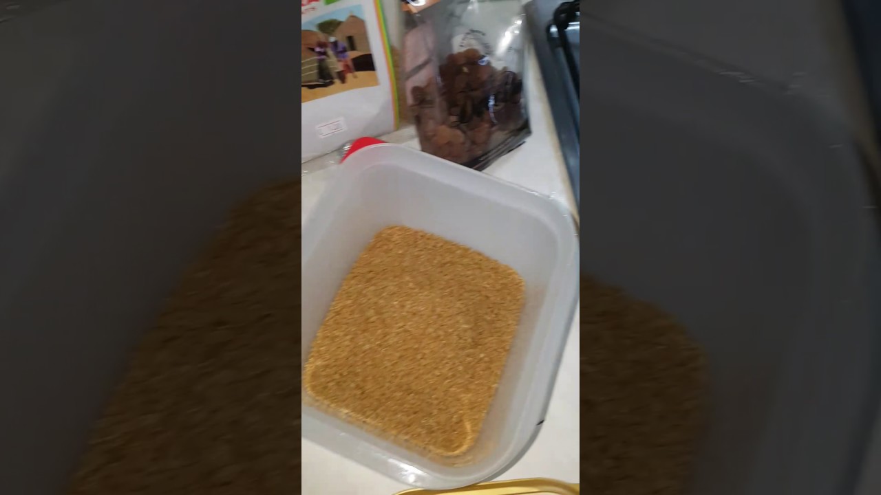 Preparazione 