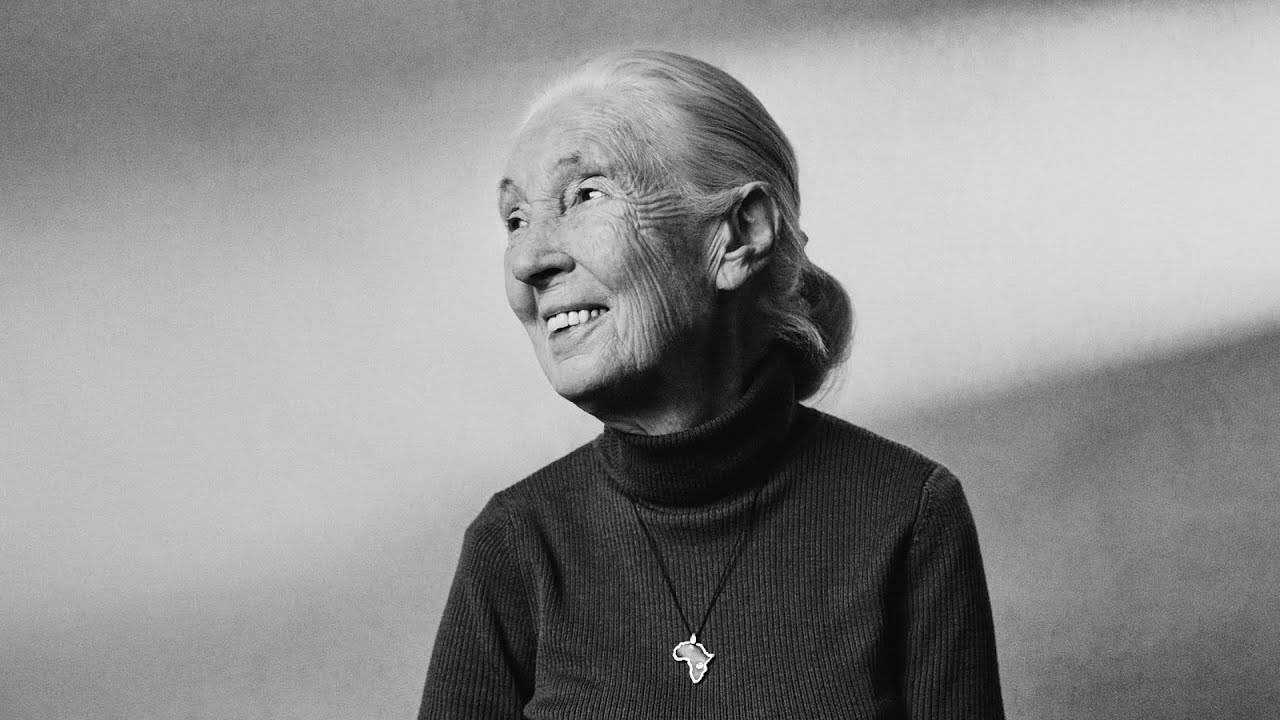 Remembering Dr. Jane Goodall: A Celebration of a Life of Hope
