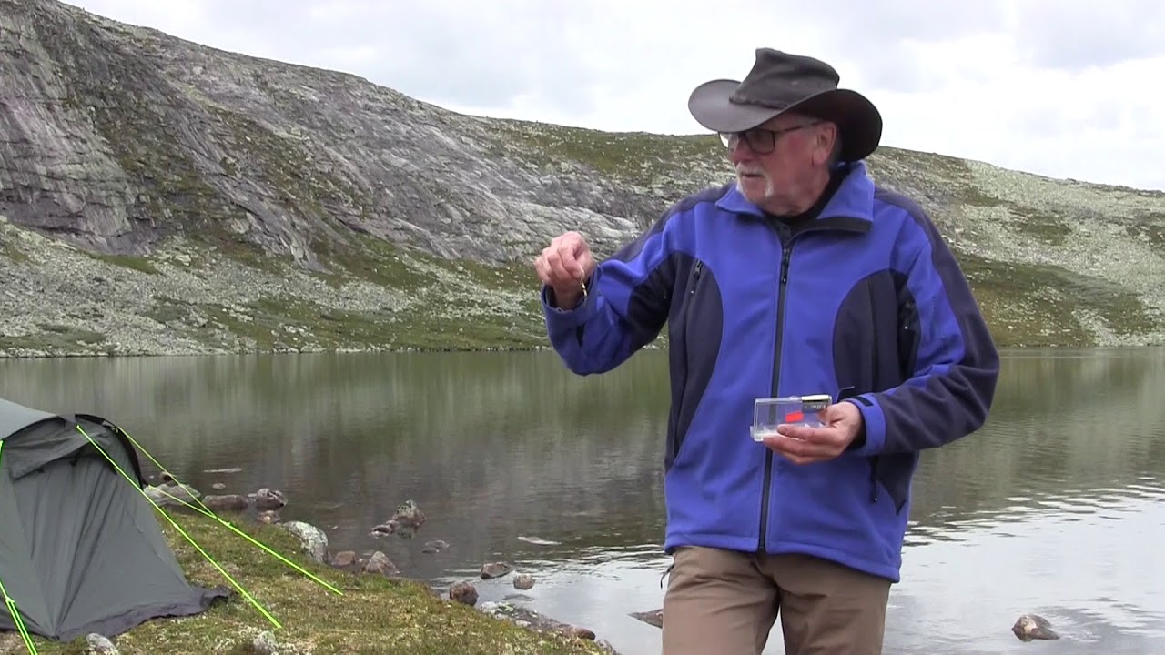 Hardangervidda, Holken 2018