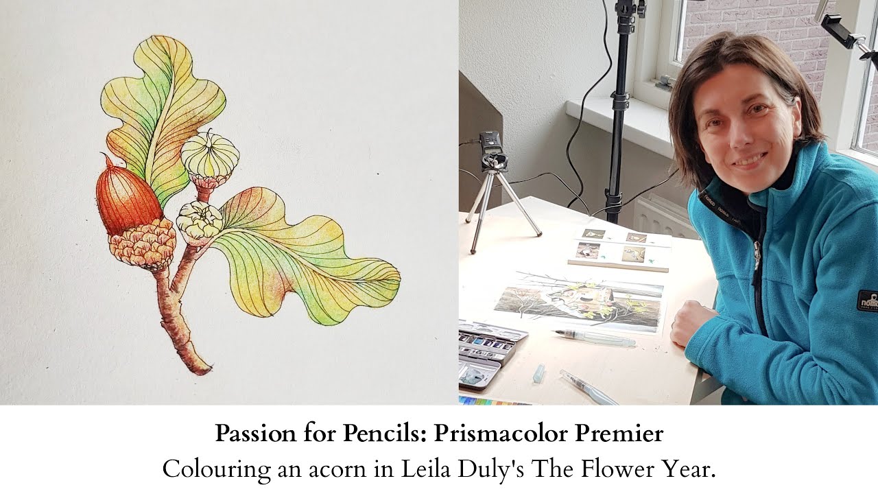 Passion for Pencils: Prismacolor Premier - Colouring an acorn in Leila Duly's The Flower Year