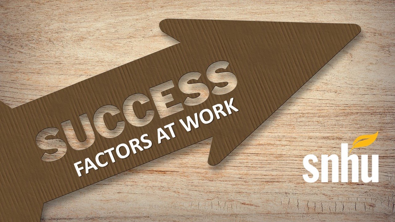 Success Factors at Work