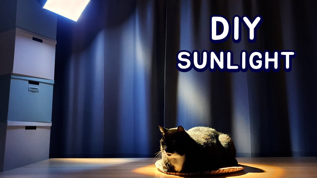 DIY Artificial Sunlight for My Cats