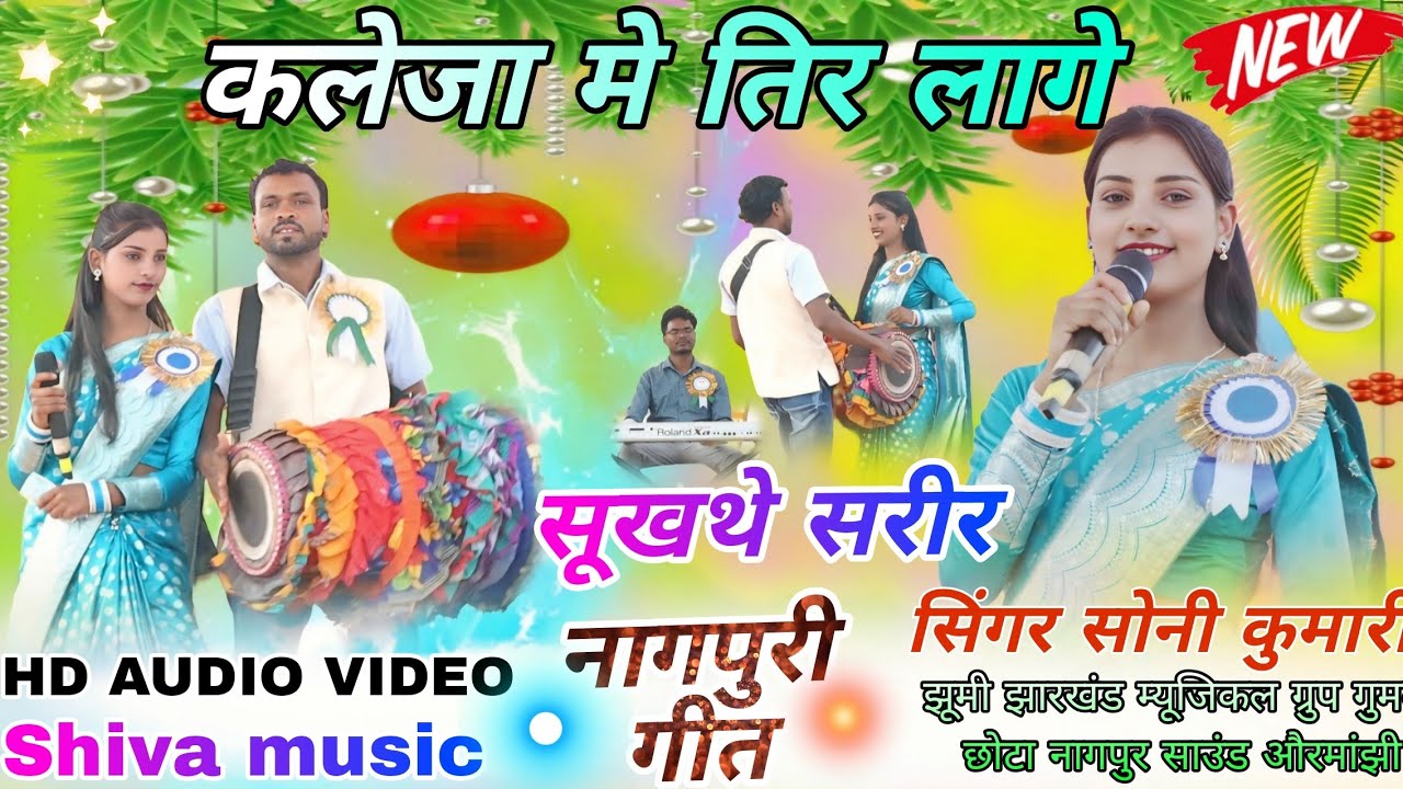 सिंगर सोनी कुमारी Theth Nagpuri Song 2026 ☘️ दिल में चियारी मारी घायल करले जोड़ी New Video नवाटोली 
