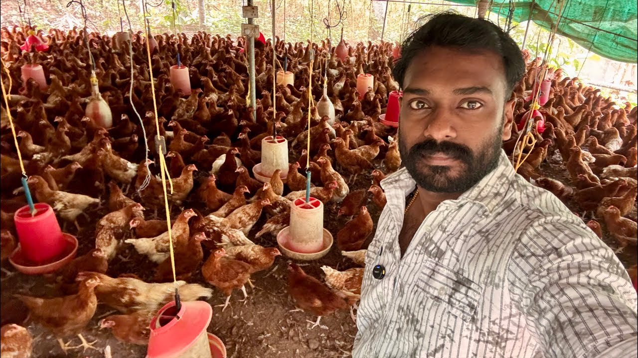 PANDALAM  FARMING SOLUTION is live Bv380 farm ❤️