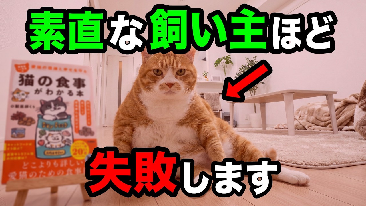 素直にカロリー計算しても猫がどんどん太っていく理由を獣医師が解説します【猫の食事がわかる本⑪ P41-43】