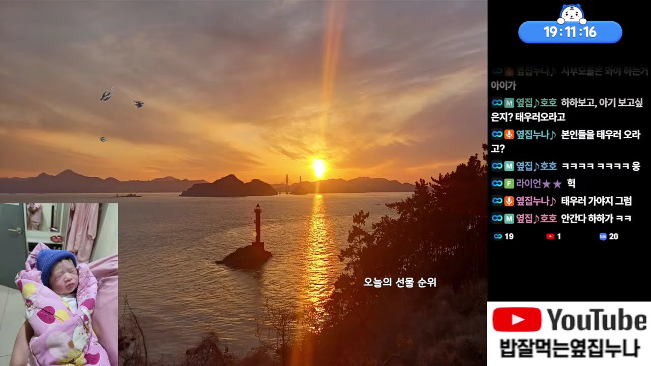 📺시참방송 NO.1 🍼호호매니저 