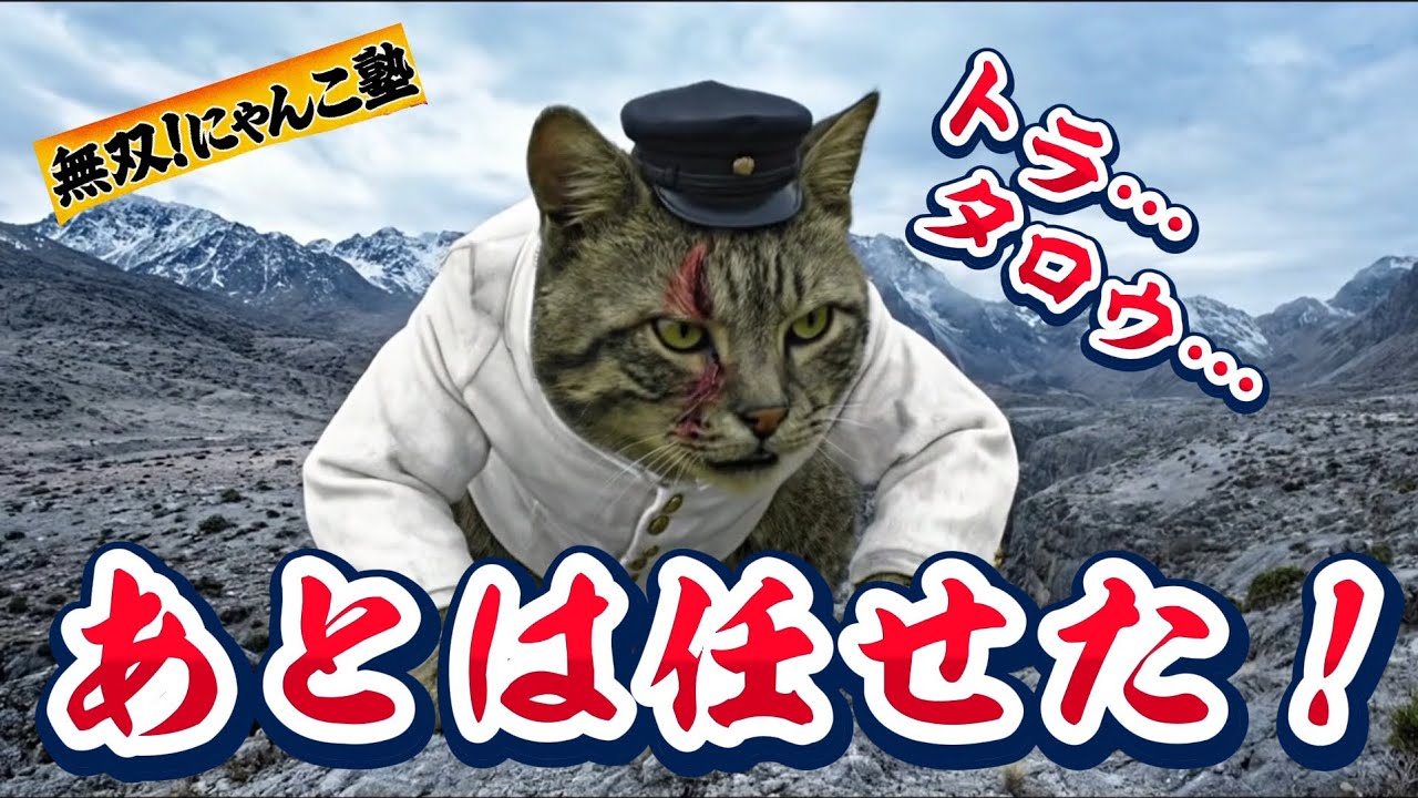 第8話‼️ゲンVSピエン【無双‼️にゃんこ塾】#にゃんこ #ai #猫のいる暮らし #男塾 