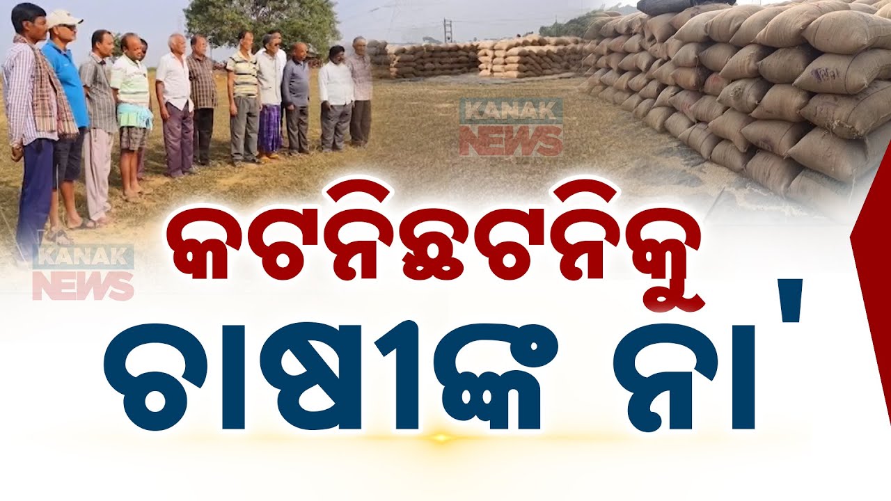 Farmer Protests In Kuchinda Mandis: Chaos On Day 1 Of Paddy Procurement