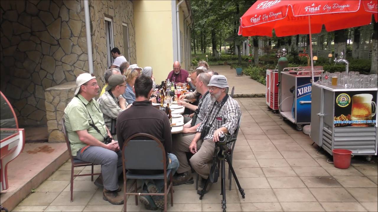 Birdwatching in Azerbajian, May 2016