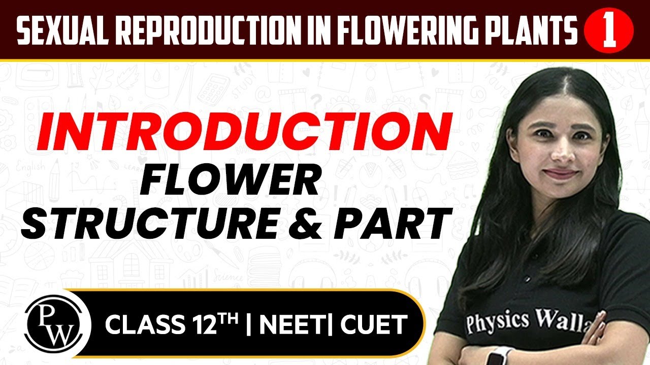 Sexual Reproduction in Flowering Plants 01 | Introduction, Flower structure & Part | 12th | NEET