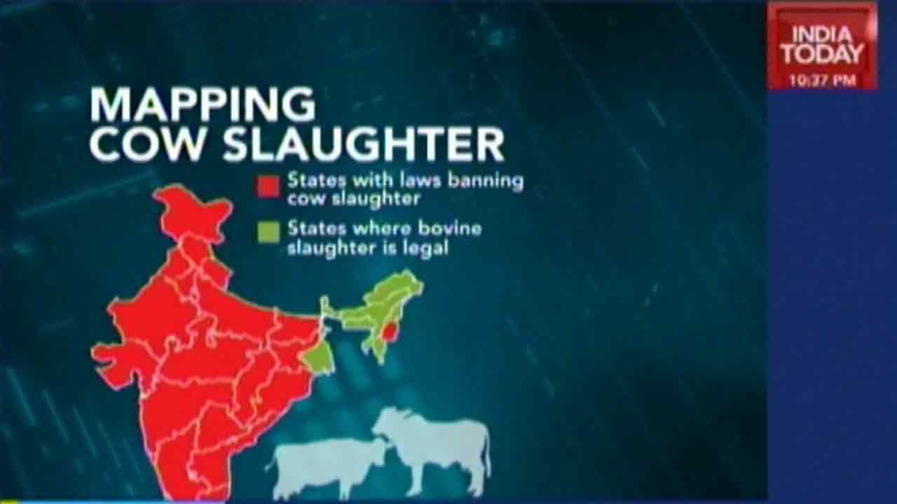 Newsroom: Govt Proposes Lab Tests On Beef Exports