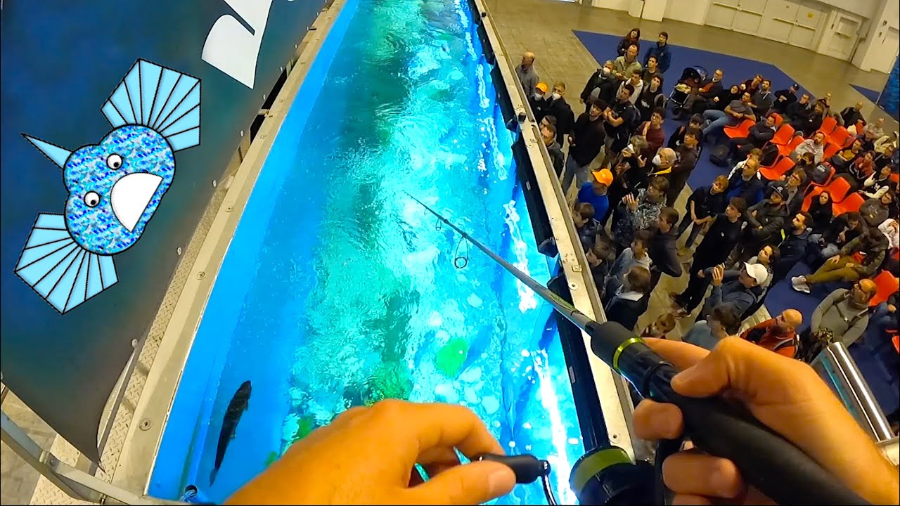 Ho Pescato in un Acquario, ho Parlato della Mia Storia su YouTube e vi ho incontrato! PescareShow 22