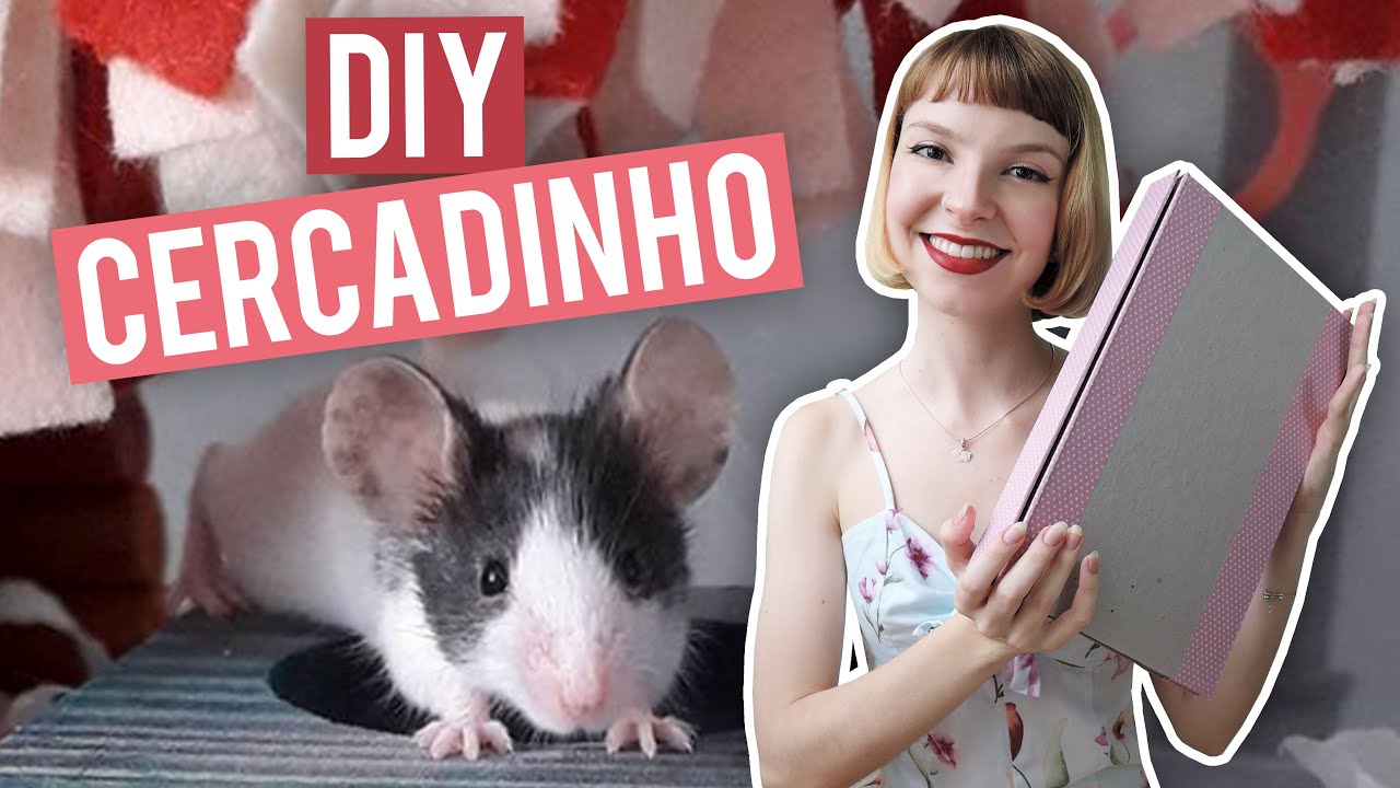 DIY 🐹 Cercadinho para hamsters e camundongos | Hamster playpen