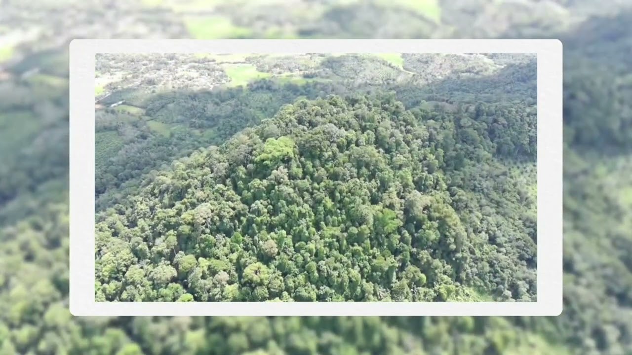 Pesona Samalantan Kalimantan Barat Dilihat dari Drone