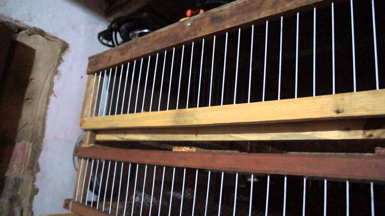 viveiros de madeira para codornas parte 1