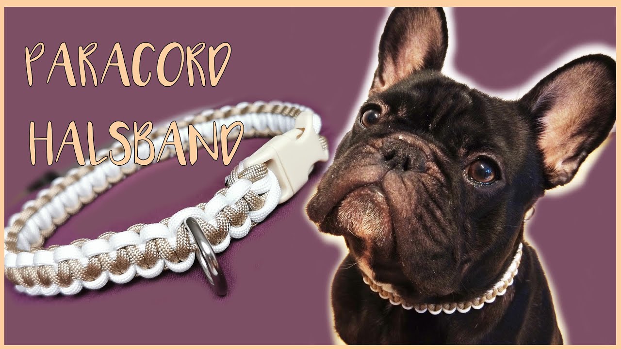 PARACORD HUNDEHALSBAND | Schritt für Schritt