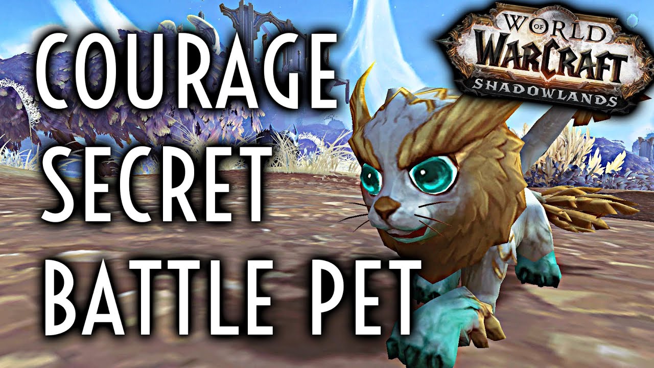 WoW Guide - Courage - Battle Pet