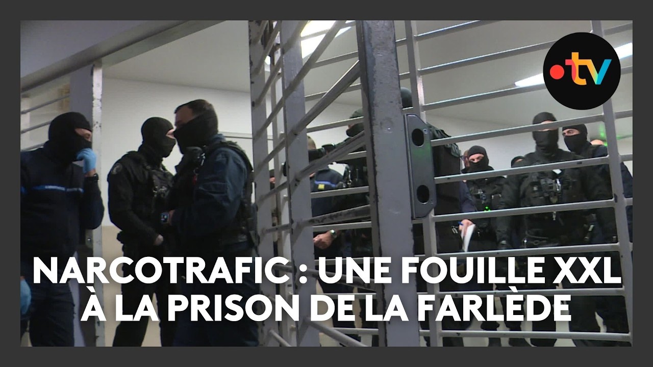 Narcotrafic : une fouille XXL à la prison de La Farlède - Toulon