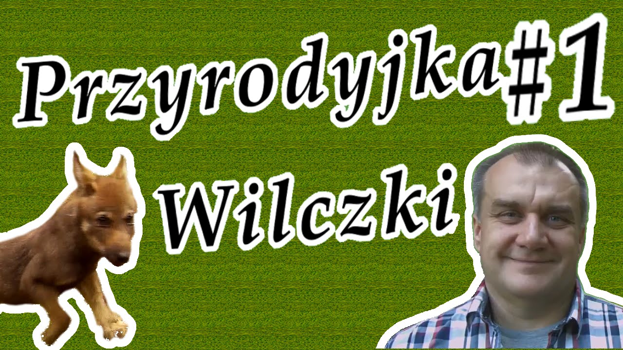 Przyrodyjka #1 Wilczki