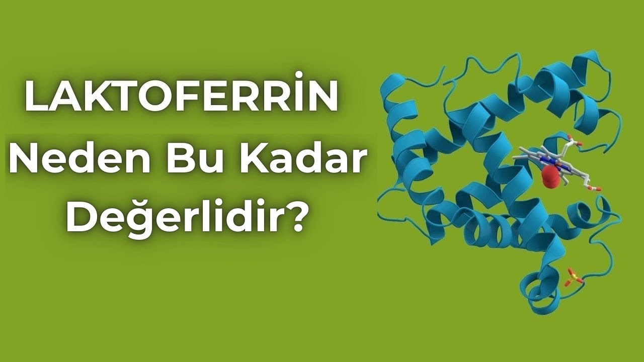 2) Laktoferrin Neden Bu Kadar Değerli?