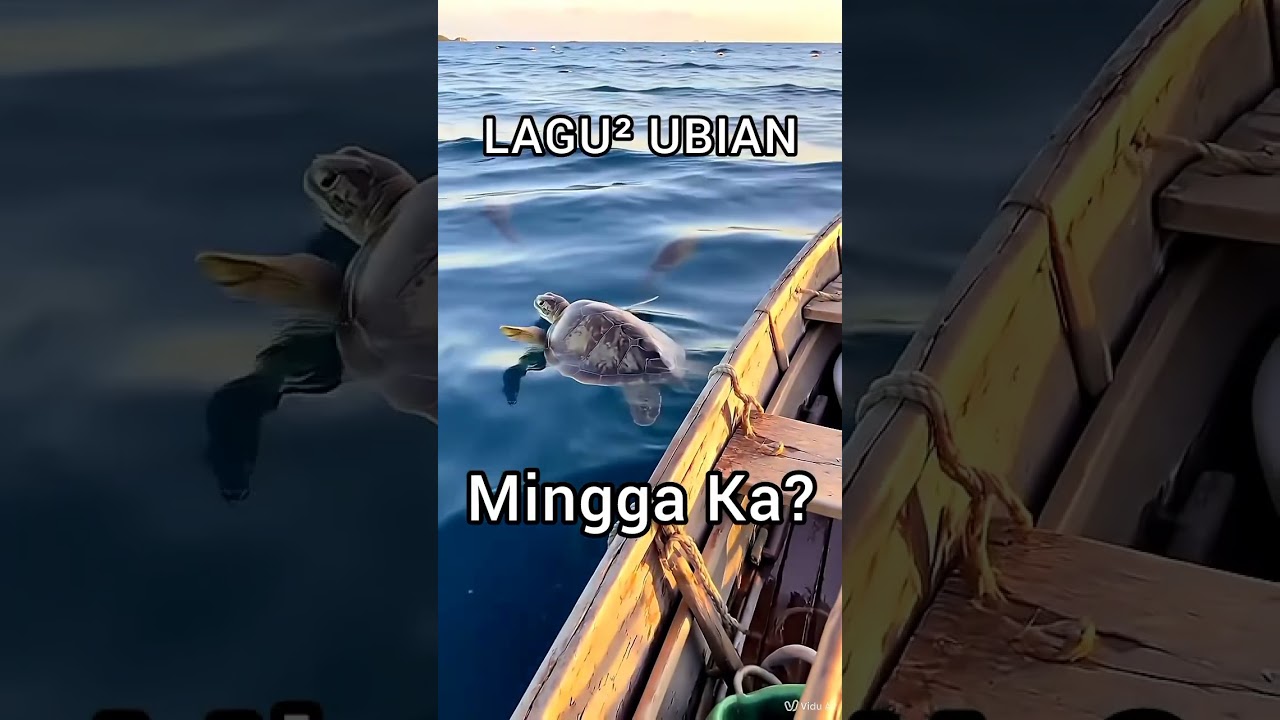 Lagu bajau : Mingga ka