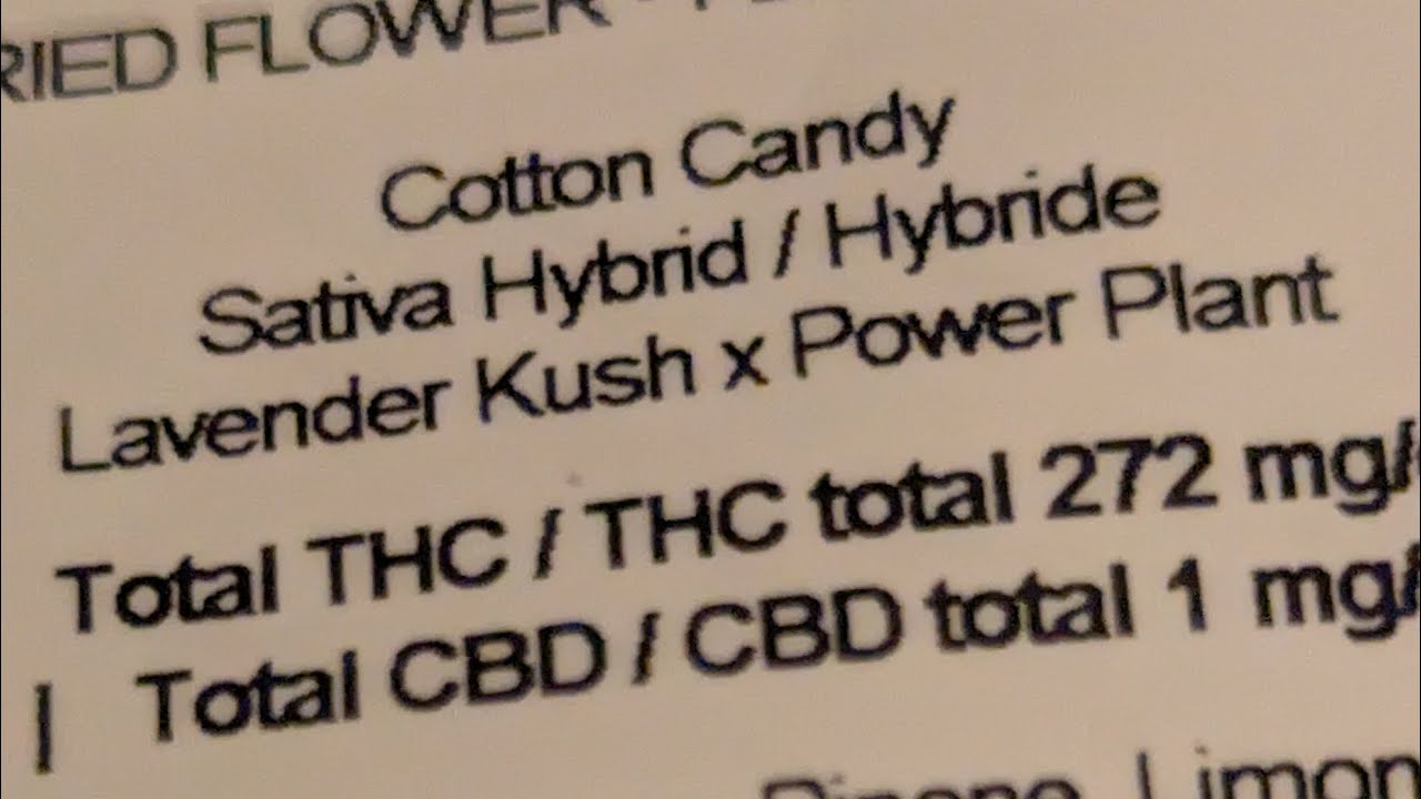 SONIQUE Cotton Candy sqdc