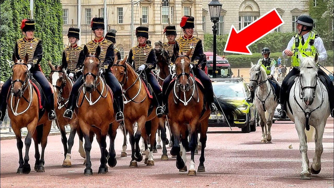 UNEXPECTED TWIST DURING CHANGING OF THE GUARD SURPRISES EVERYONE