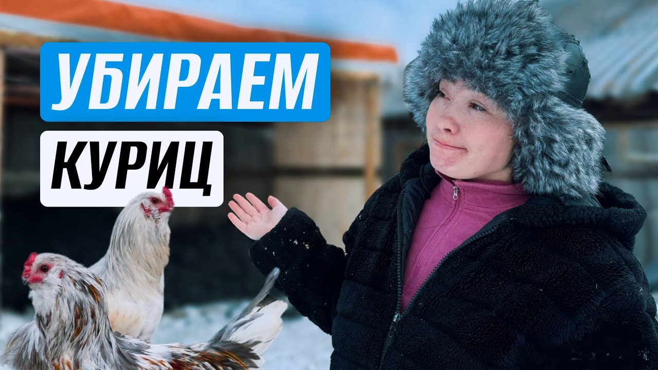 ОТКАЗЫВАЕМСЯ ОТ РАЗВЕДЕНИЯ КУРИЦ. НОВОСТИ НЕДЕЛИ. УПРАВА ВМЕСТЕ