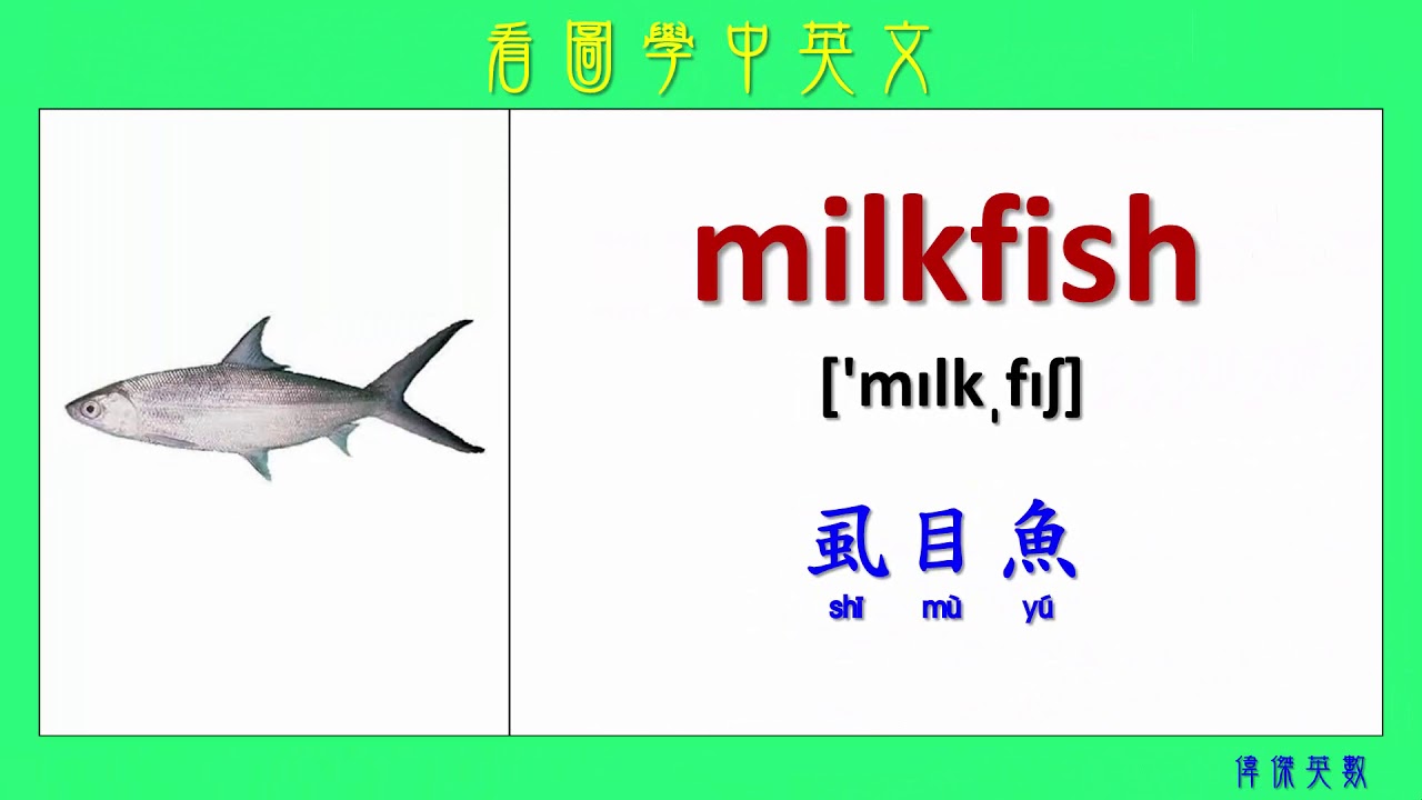 看圖學中英文 94  海鮮 (Learning Chinese and English Vocabularies about seafood.)