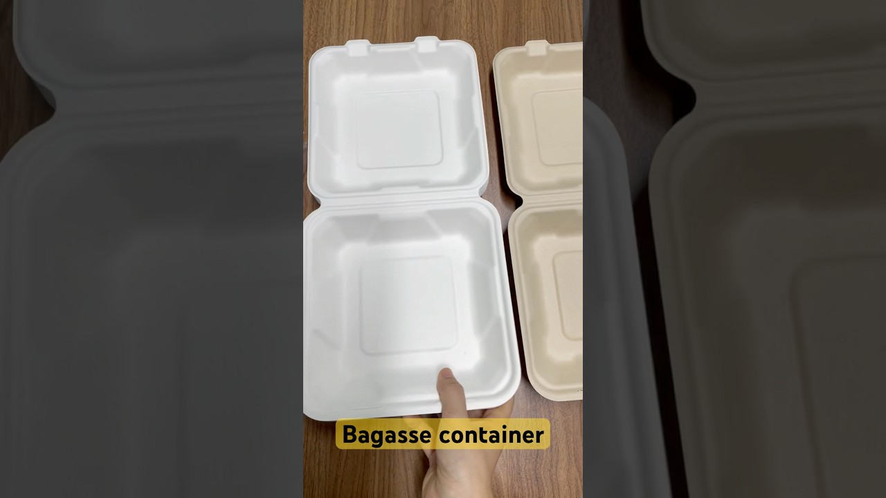 Disposable Take Out Food Container 8X8 Clamshell Container Made By Sugarcane Fiber#bagasseproducts