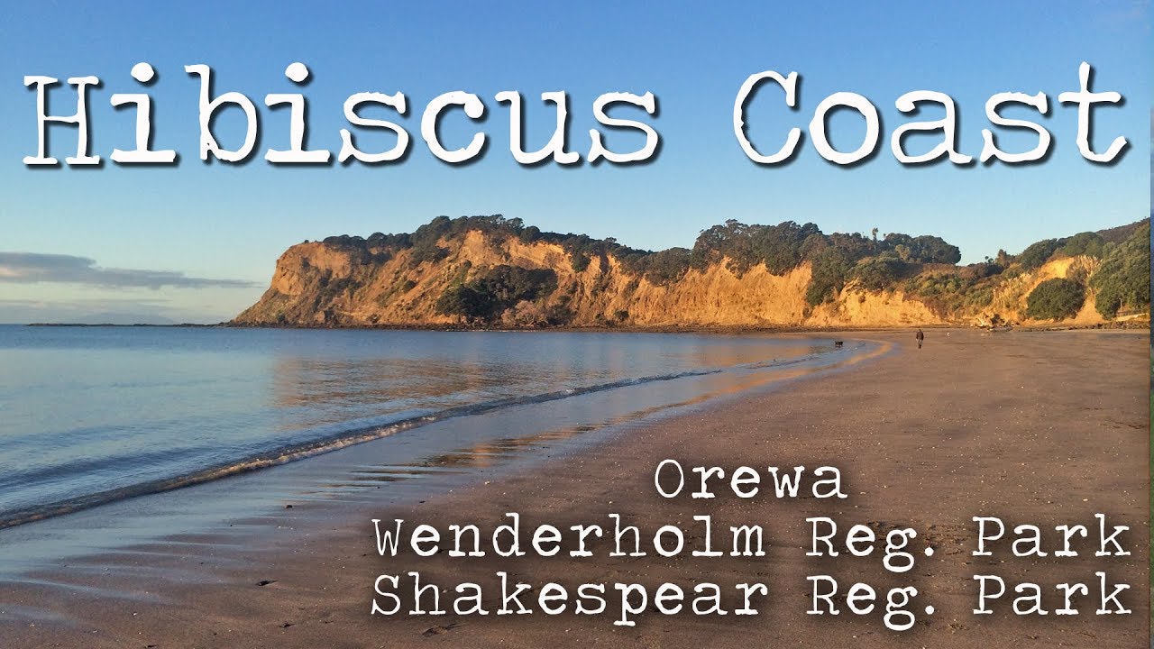 The Hibiscus Coast // A Trip Down Memory Lane