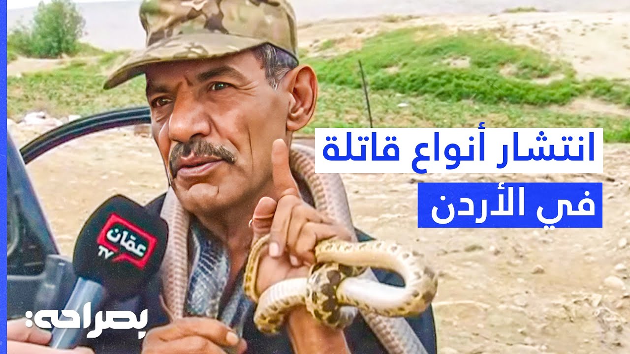 أسباب انتشار أنواع قاتلة من الأفاعي هـذا العام مع خبير الأفاعي ياسين الصقور - بصراحة