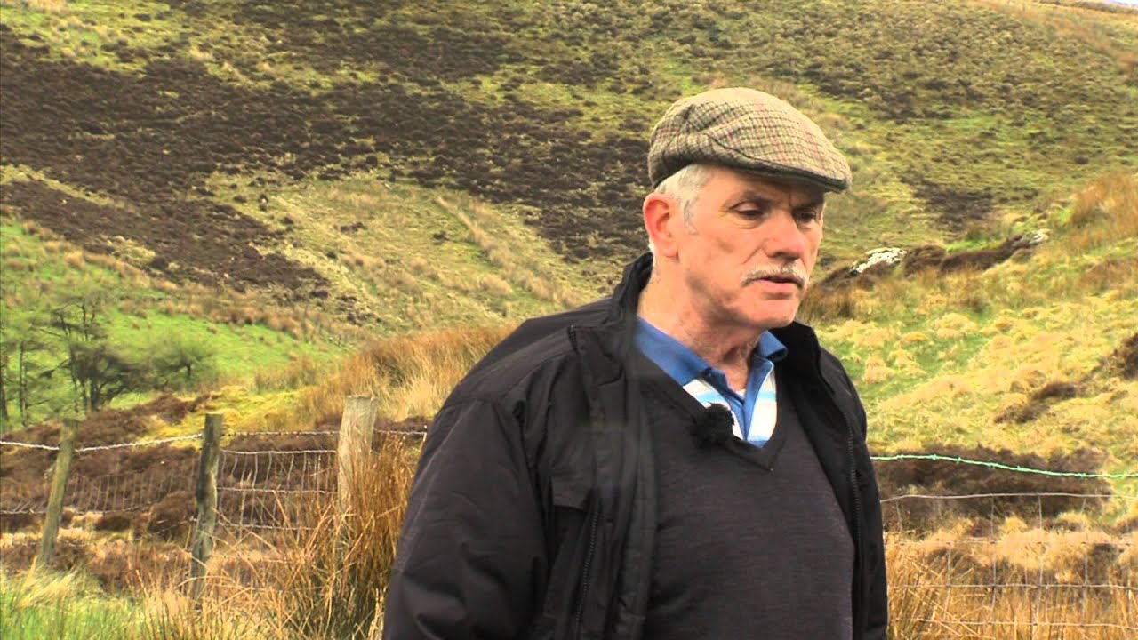 Talking about your neighbours - Pothole joe