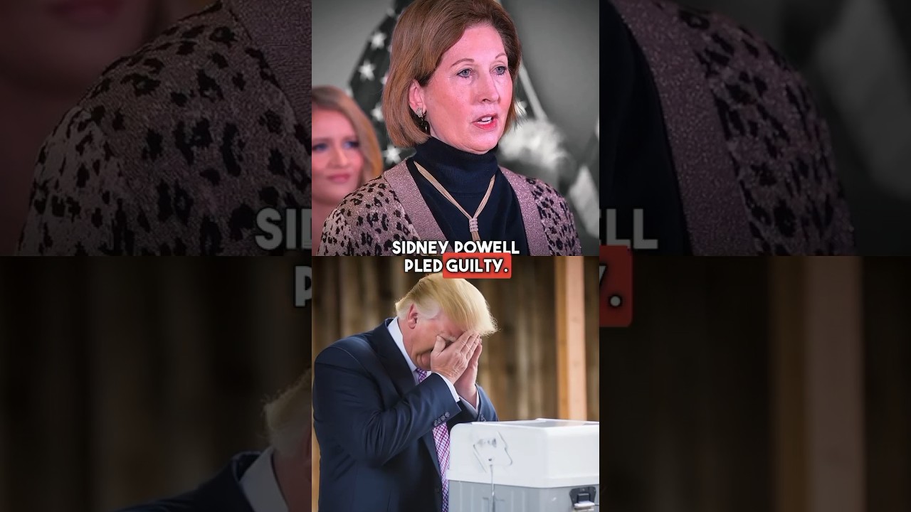 Sidney Powell guilty plea GREAT DEAL #criminal #crime #news #trump #legal #law #politics #attorney