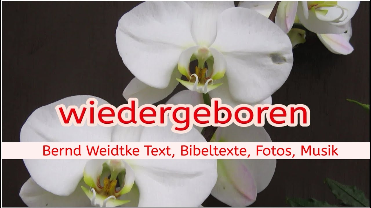 wiedergeboren (Bernd Weidtke)