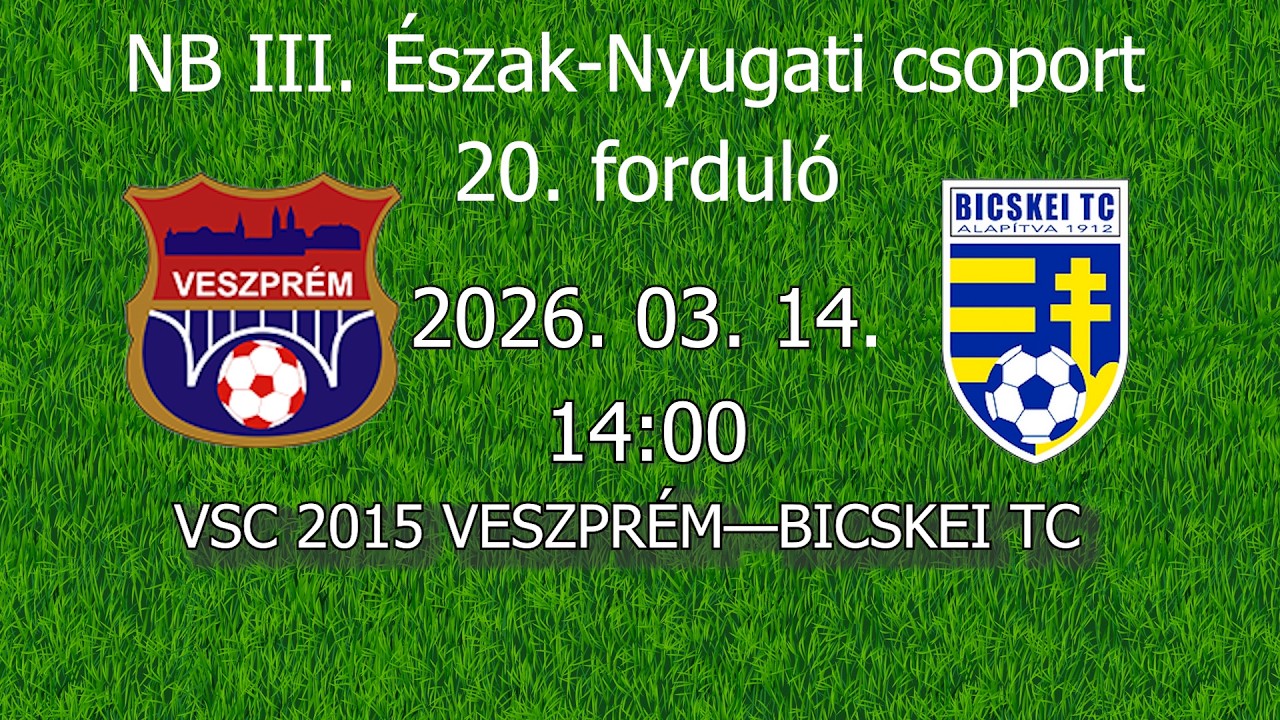 VSC 2015 VESZPRÉM — BICSKEI TC