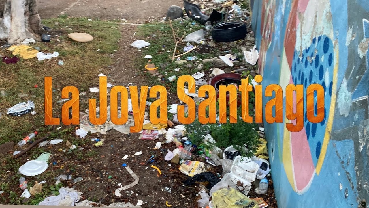 La cara visible del sector de La Joya, Santiago ￼