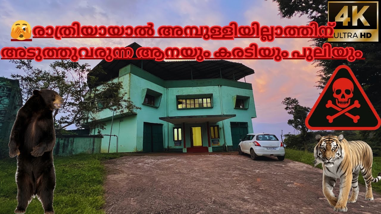🫣 Deadly Night Stay in Ambuli Illam, Topslip| Ambuli Illam | Wandering Of Lee | 4K