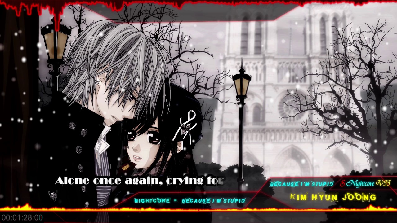 Nightcore -【Kim Hyun Joong 】 - Because I'm Stupid [Lyrics]