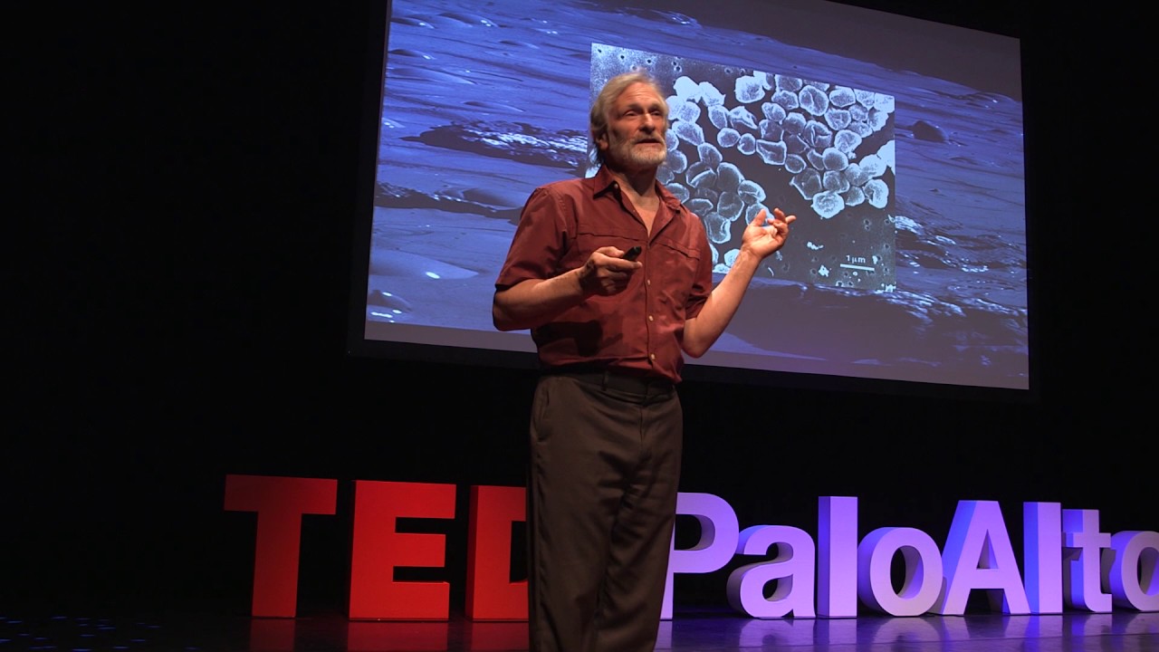 New, True and Important | Dr. Jonathan Trent | TEDxPaloAlto