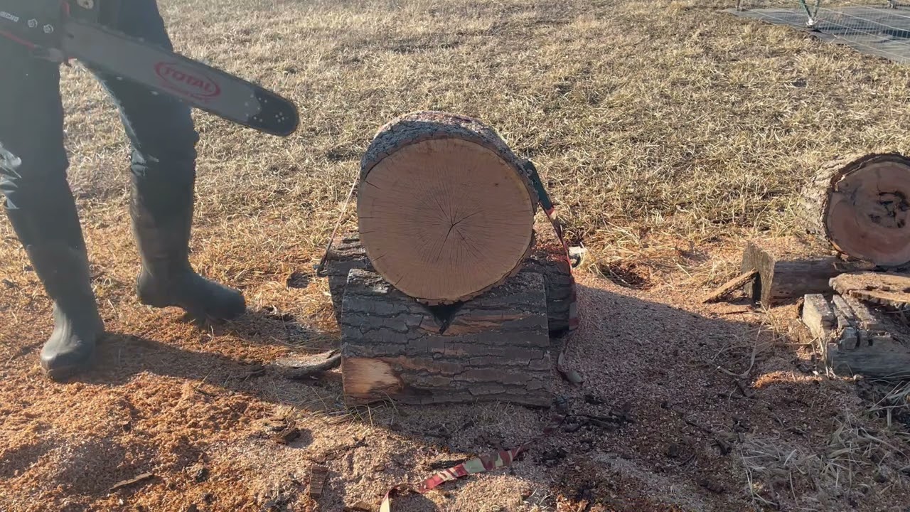 Echo CS4910 stock to SCARR ported comparison