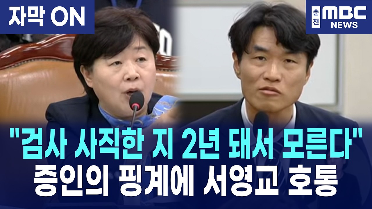 [자막] 김영남 검사 