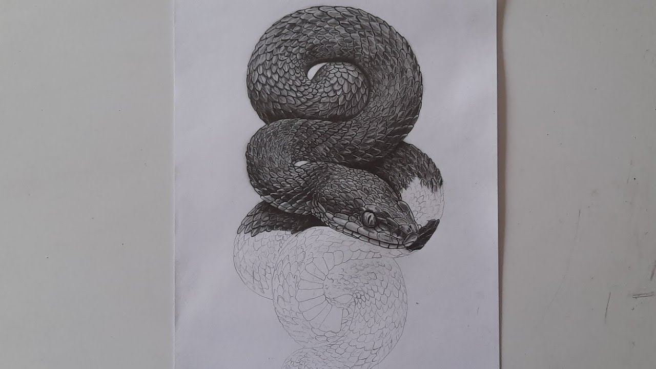 Live Pencil Sketching – Realistic Snake Drawing 🐍✏️