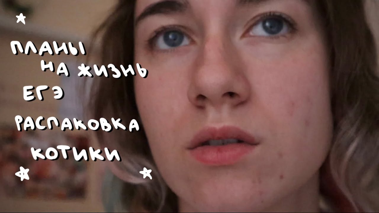 Видео обо всем и ни о чем