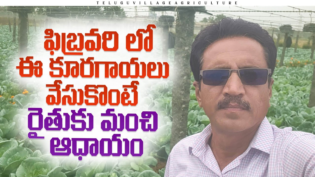 Vegitable Cultivation In February | Summer Vegitable Farming | ఫిబ్రవరి లో కూరగాయల సాగు.